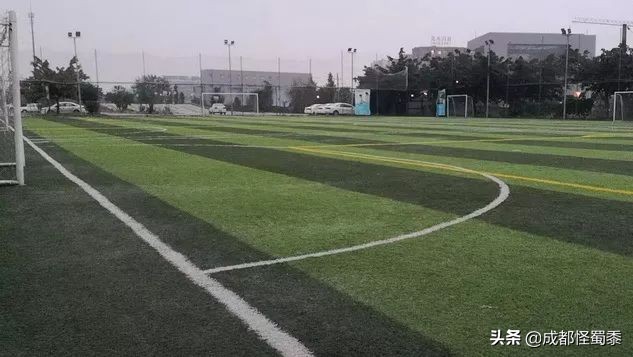 成都室内大型运动场地,周末可以打羽毛球的场子