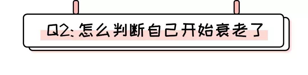 护肤美容真相,美容真相纪录片粉底液