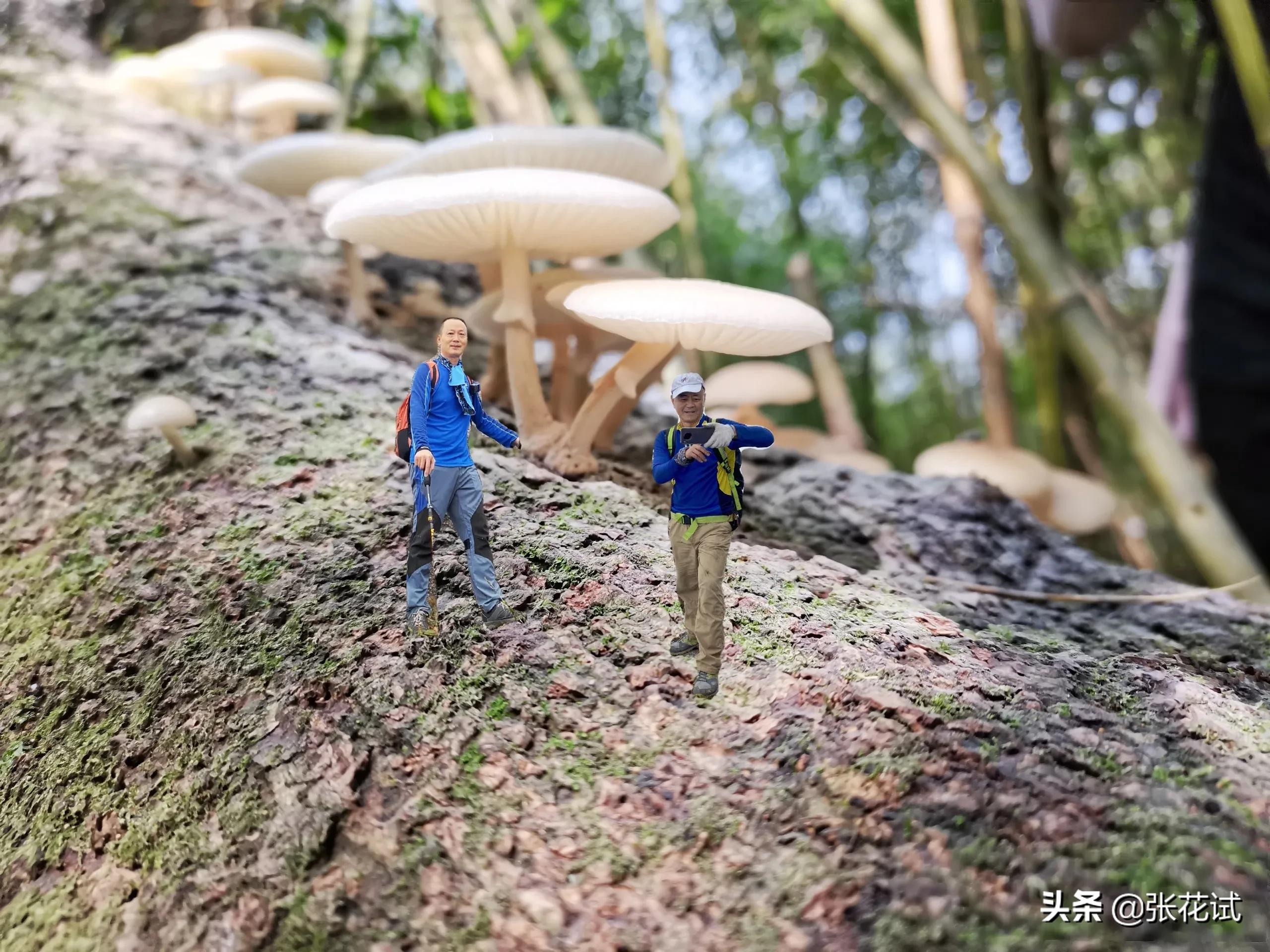 冷瓮顶航拍,冷瓮顶过山峰