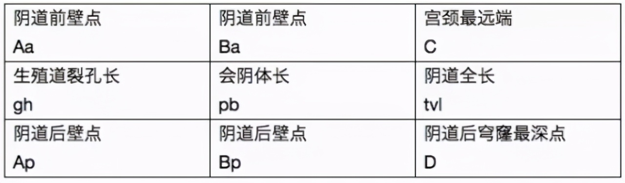 孕产康复|图解盆底肌肌力测试报告
