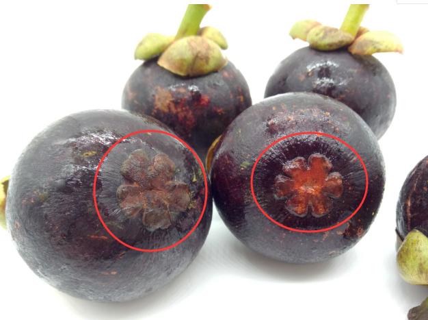 山竹价格为何这么贵,山竹贵又没肉