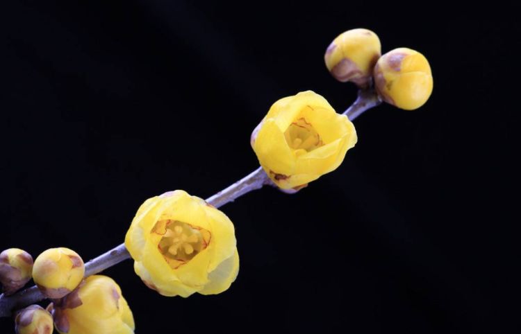 在孤独的时候给自己安慰杨绛,在孤独的时候给自己安慰