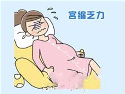 探究分子在不断运动,探究分子间的作用力实验