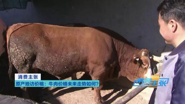 牛肉批发价最新价格,牛肉价格补贴最新消息