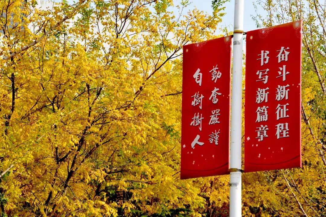天津市普通高等院校（三）天津师范大学