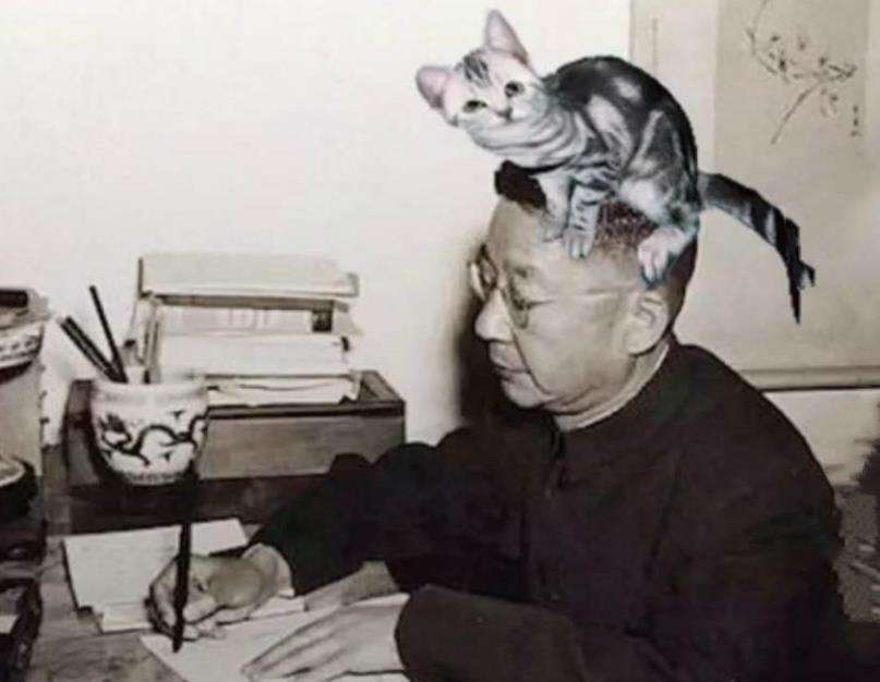 老舍作品小波的生日艺术特色,老舍小坡的生日大概内容