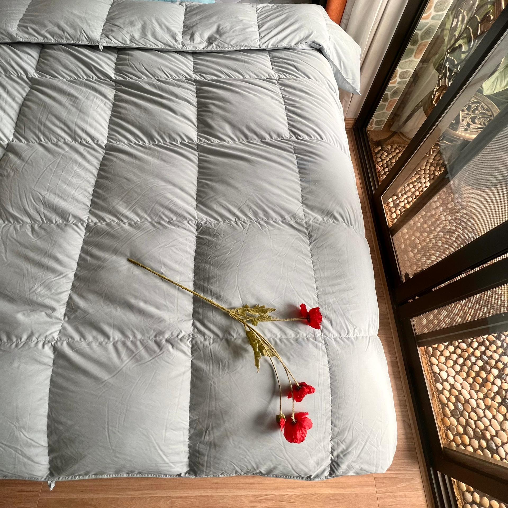 冬天需要一床温暖的被子,冬天需要鹅绒被