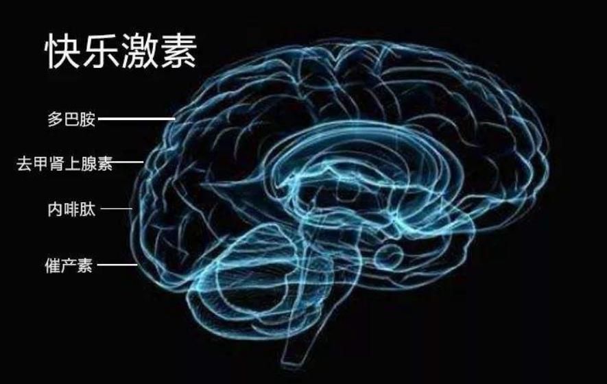 小孩总是爱生病发烧怎么回事,小孩生病特别爱睡觉什么原因