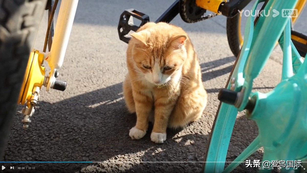 佳能eosr6详细参数曝光诚意满满,佳能发布新eosr6全画幅相机