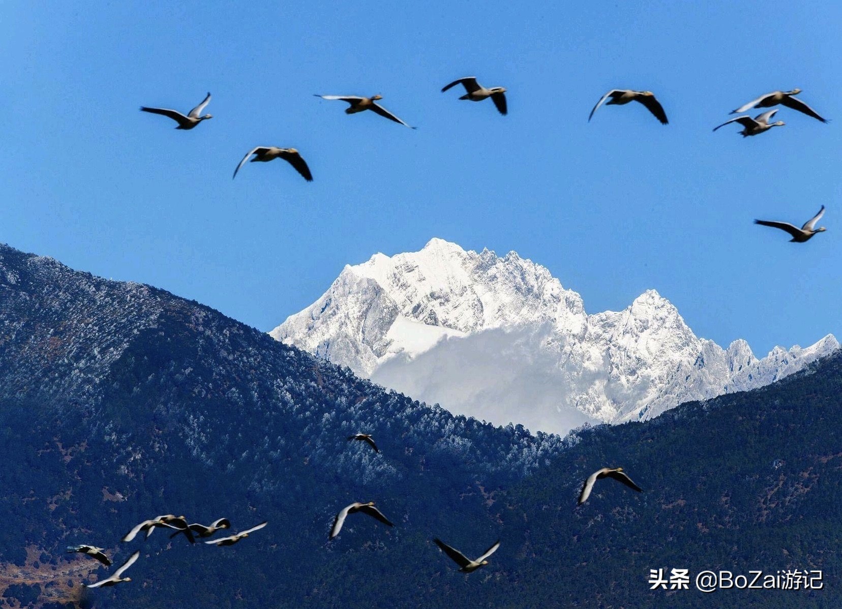去云南丽江必游景点攻略,去云南丽江旅游必去景点