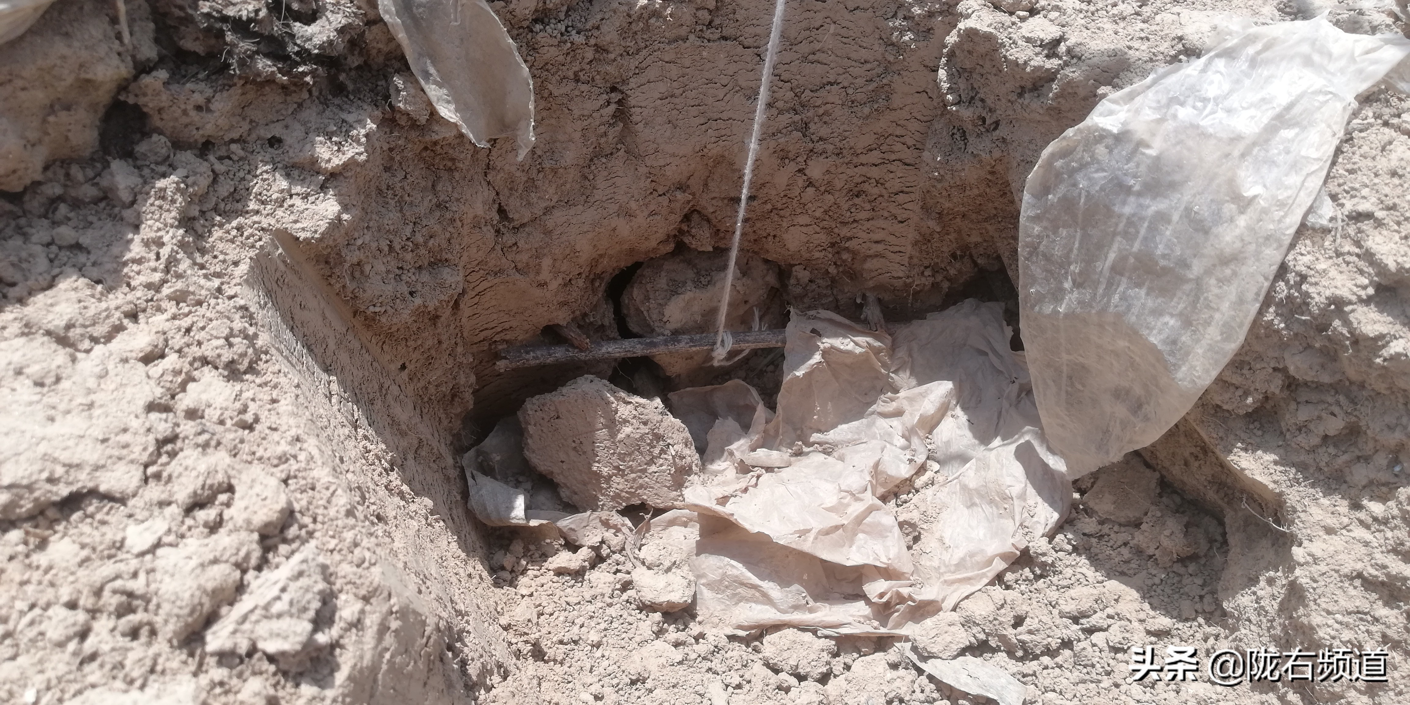 独门暗器——陇右地区那些你真没见过的捕杀鼢鼠的秘技