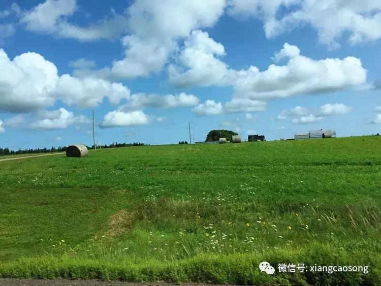 漂洋过海来挖宝,漂洋过海去台湾吃海鲜