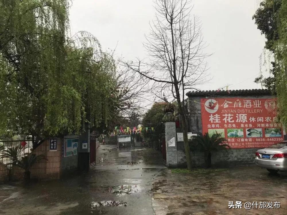 不负好春光文章,不负好春光的上一句