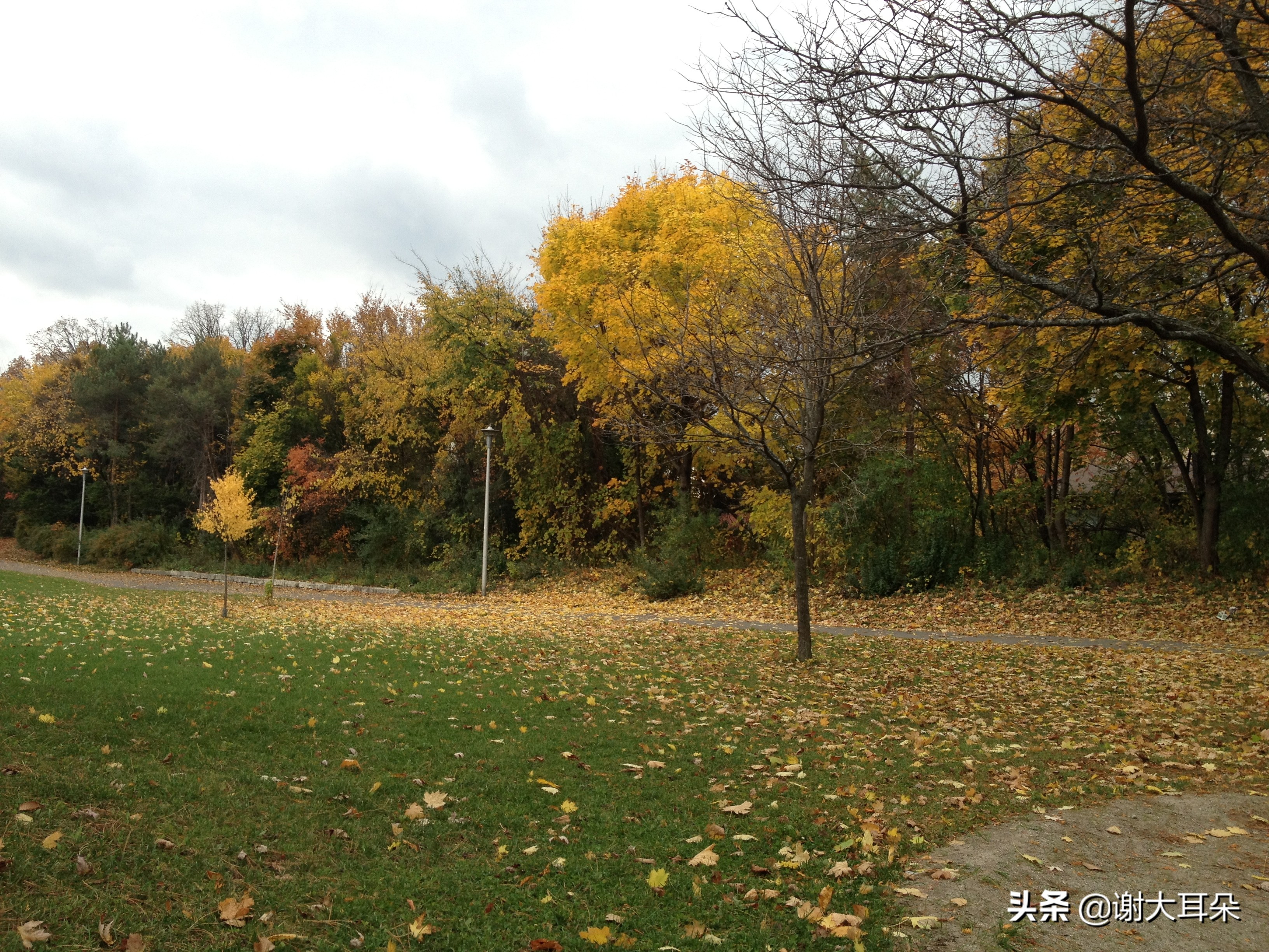 华人在加拿大小镇真实生活,加拿大生活是一种怎样的体验