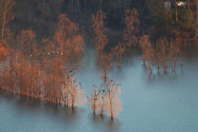 这座低调的小城，凭什么跻身云南6大国家历史文化名城之列？