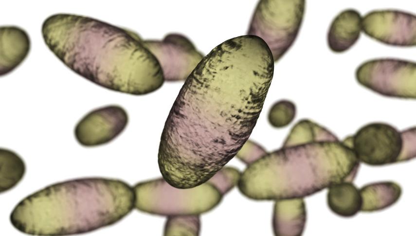 钟南山抗肺炎的事迹,钟南山被称为抗疫之父对吗