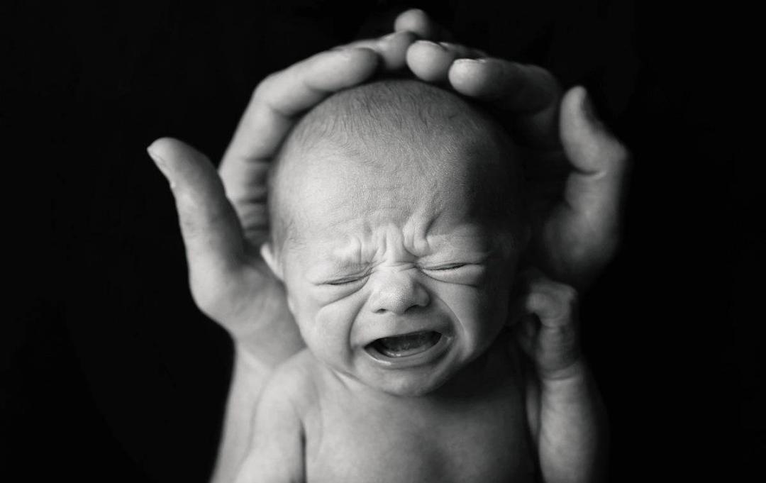 鲍毓明案怎么曝光的,鲍毓明涉案完整版