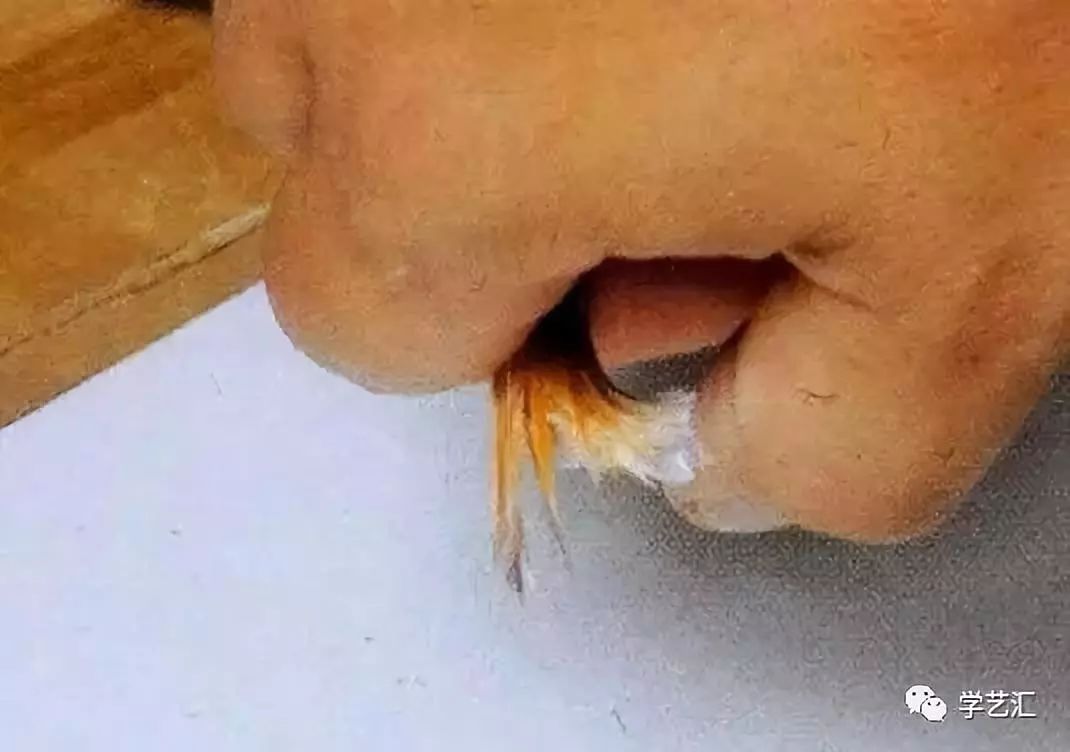 神奇的水彩,水彩留白技法