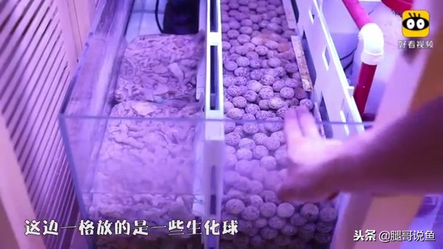 大缸什么过滤效果最好,什么过滤方式小缸效果最佳