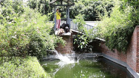 世界花卉大观园遛娃好去处,大观园遛娃攻略