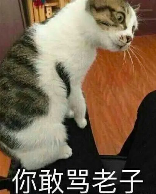 李国庆俞渝夫妻决裂,李国庆俞渝离婚原因揭秘