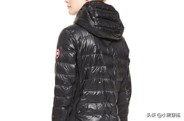 和加拿大鹅一个级别的羽绒服,与加拿大鹅媲美的户外羽绒服