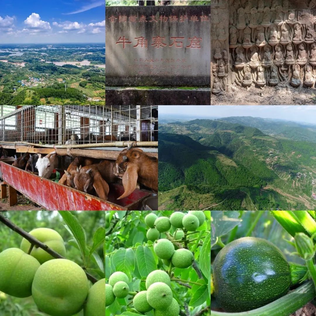 多彩新区,你pick谁?