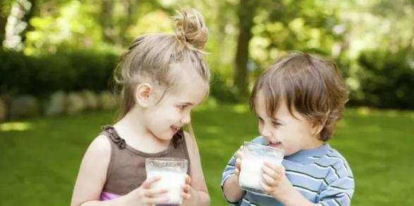 配方驼奶怎么知道含多少量的驼奶,真正的驼奶什么样的