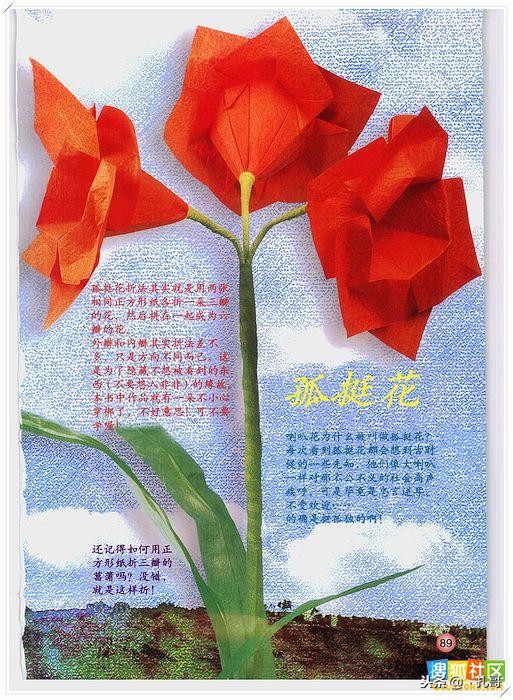 折纸大全方便又漂亮又实用,精致实用的折纸大全步骤