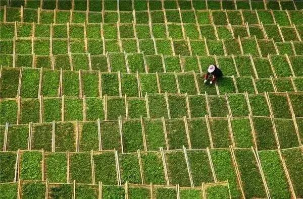 中暑腹泻没胃口吃什么好,夏天中暑没胃口吃什么