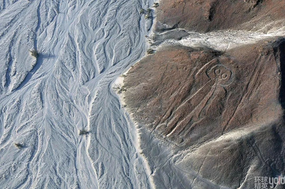 纳斯卡高原巨画之谜,秘鲁纳斯卡巨画解密