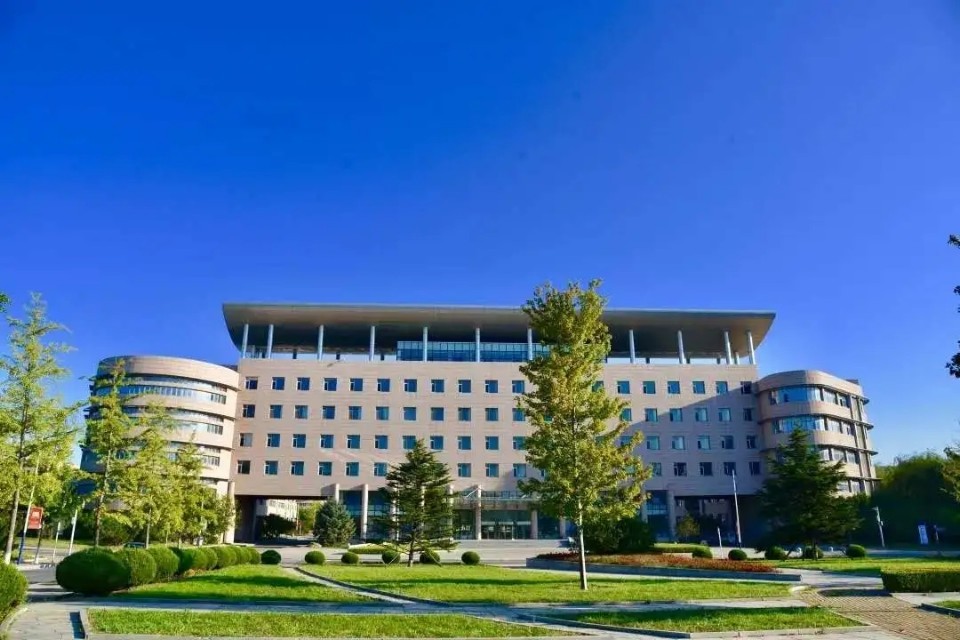 向往的大外|带你一起看大外