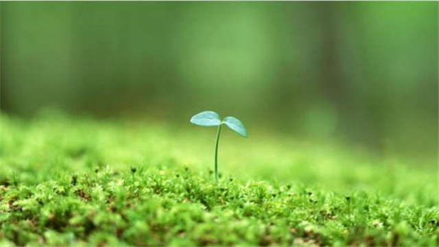 miui官改升级系统修复,miui官改rom制作