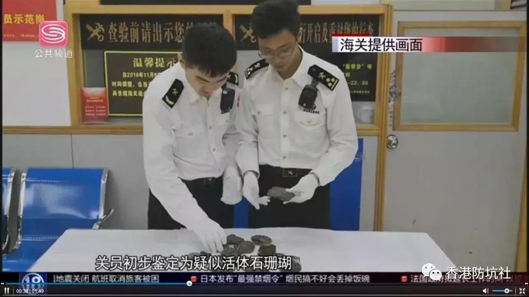 香港海关入境物品规定最新消息,香港海关限制进境的物品