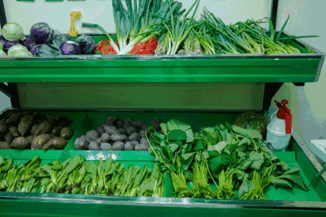 未来的天津,未来的天津市河西区