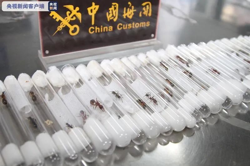 早啊新闻来了语音版,早啊新闻来了订阅号