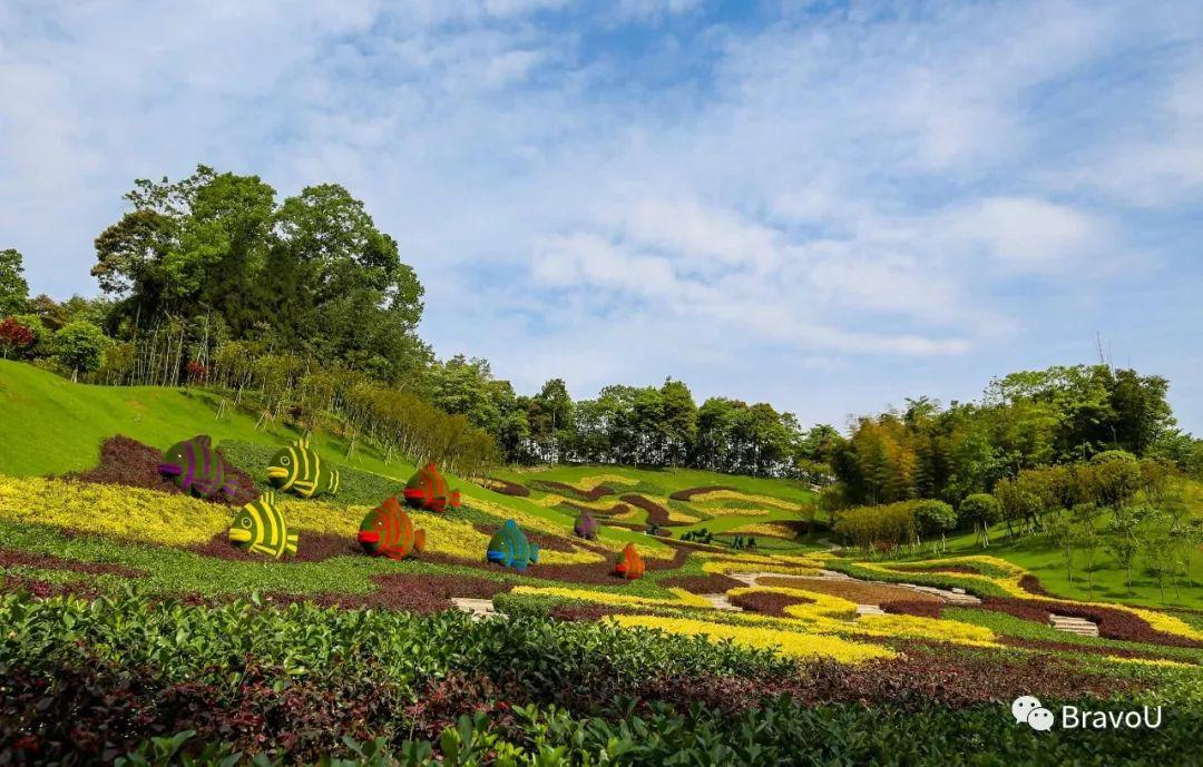 【慢游新天府，感受新成都】端午节特辑（二）|世界冠军蒋文文、蒋婷婷带你去逛川西林盘和特色小镇打卡地