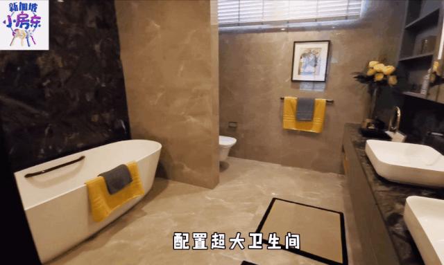 新加坡柏皓顶级豪宅户型图,新加坡乌节路豪宅铂瑞雅居