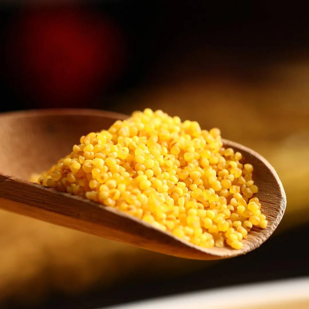 有机黄小米怎么样,有机厚油黄小米真的假的