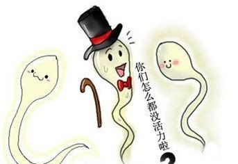 没有结合的精子跑哪儿了