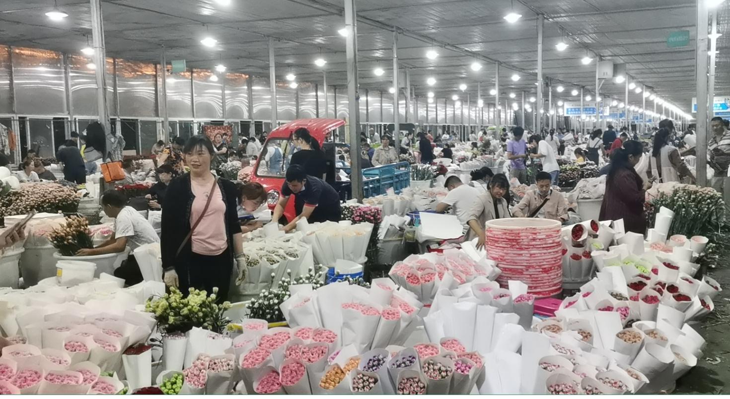 云南斗南花市旅游攻略,昆明地铁五号线到斗南花市