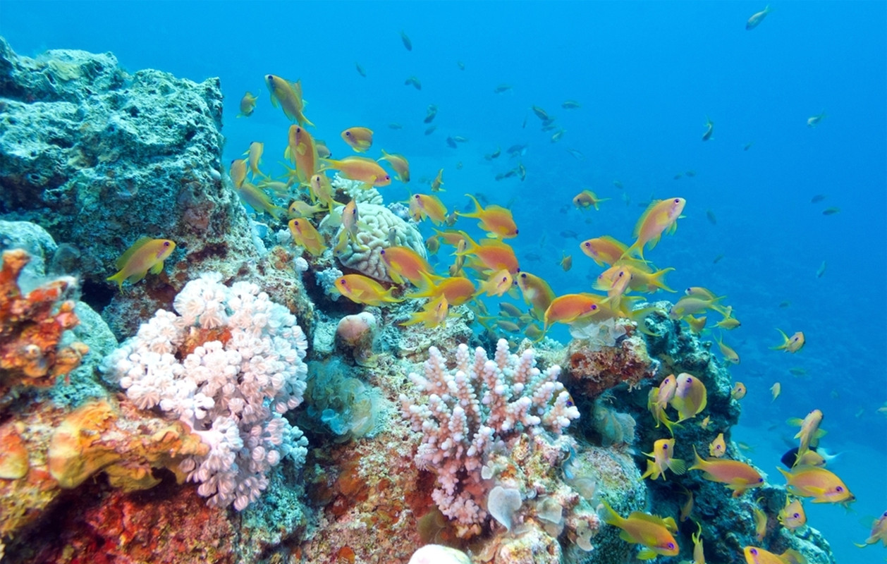 在太平洋掉下去会怎么样,花岗岩一摔就碎了吗