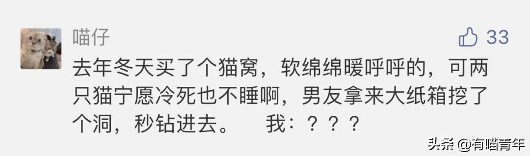 我给猫花的冤枉钱，能在广州买一套房