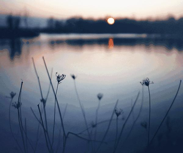 慢生活早就被古人写进诗词里了,你向往的慢生活古诗词