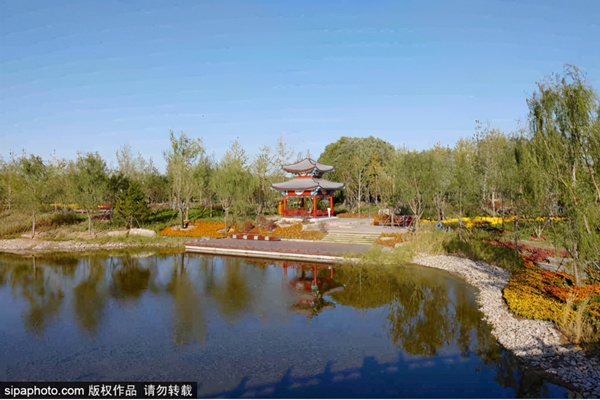 北京网红公园打卡地,北京拍照打卡森林公园