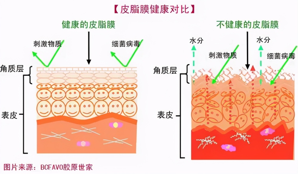 天知地知你知我不知的谜底,天知地知你知我知的下半句典故