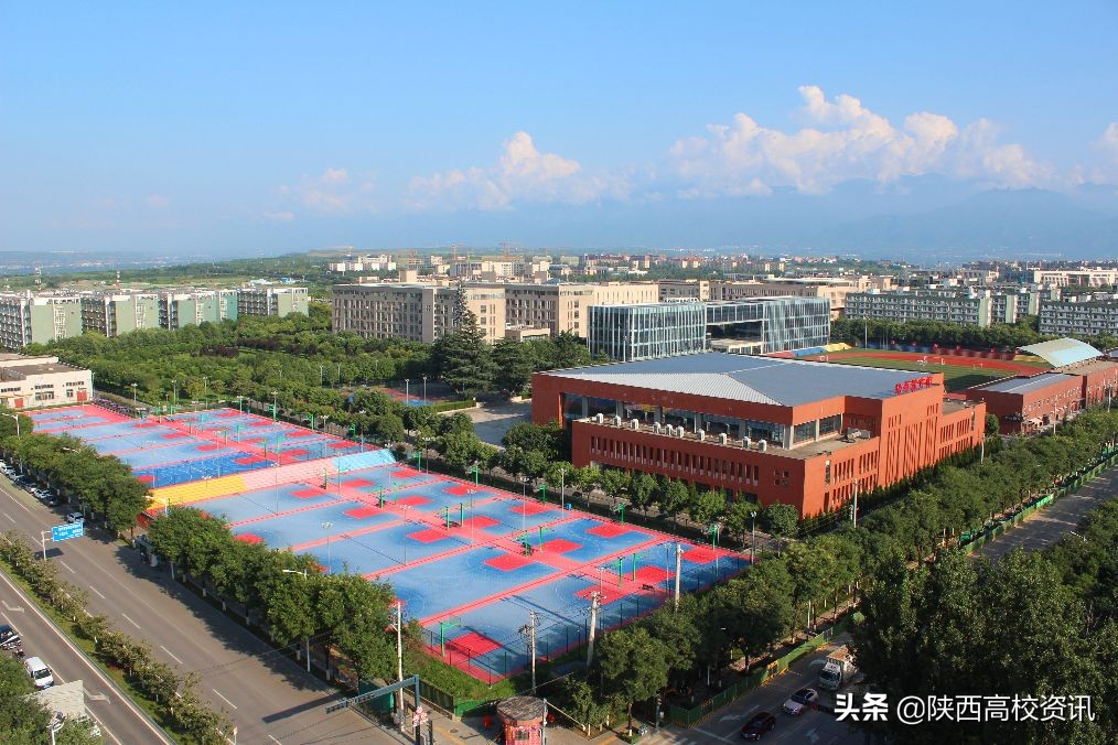 西安培华学院2019分数线及位次,高考志愿填报二本