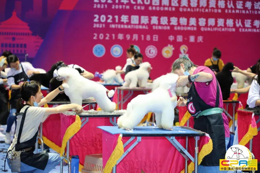 第二届天一重庆国际宠博会,宠博会重庆2020