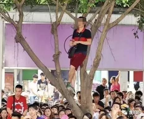 阿森纳十大经典视频,当年阿森纳的那些精彩瞬间