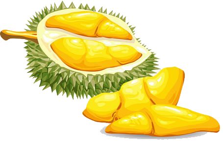 吃了葡萄干被查出酒驾,吃葡萄干被检测酒驾